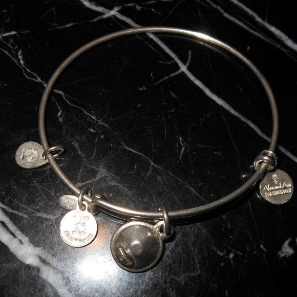 Alex and Ani March Birthstone Aquamarine Rafaelian - Picture 3 of 7